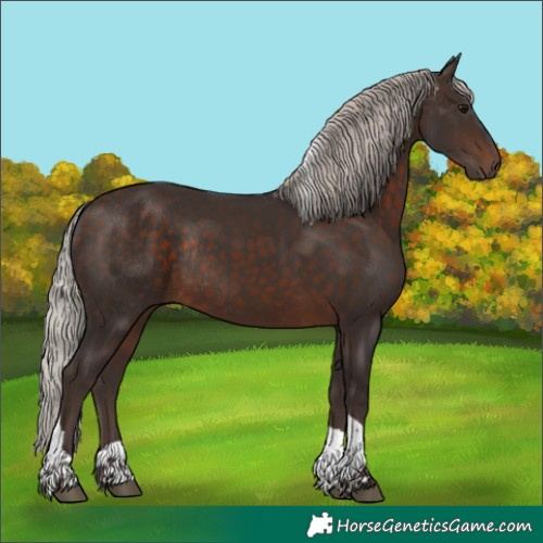 Horse Color:Silver Brown Tobiano Rabicano 