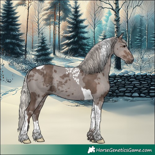 Horse Color:Silver Black Merle Tobiano Rabicano 