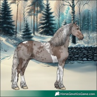 Horse Color:Silver Black Merle Tobiano Rabicano 