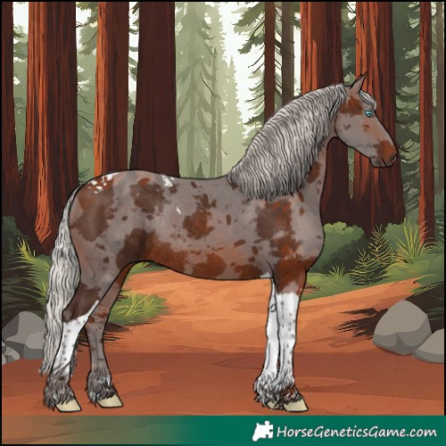 Horse Color:Silver Brown Merle Tobiano Rabicano 