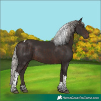 Horse Color:Silver Brown Tobiano Rabicano