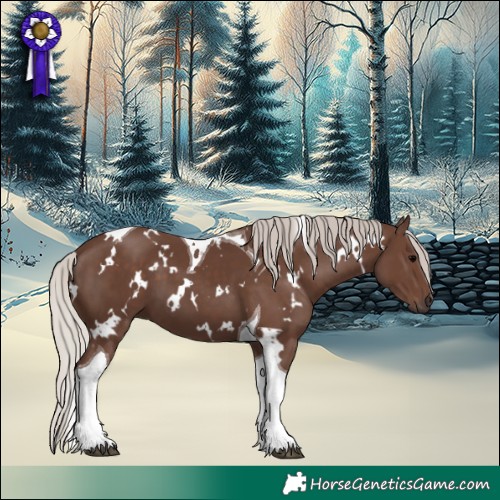 Horse Color:White Spotted Silver Black Tobiano 
