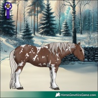 Horse Color:White Spotted Silver Black Tobiano
