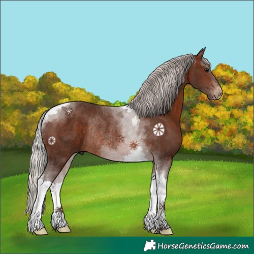 Horse Color:Silver Brown Tobiano Rabicano