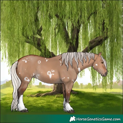 Horse Color:White Spotted Silver Brown Dun Tobiano Rabicano