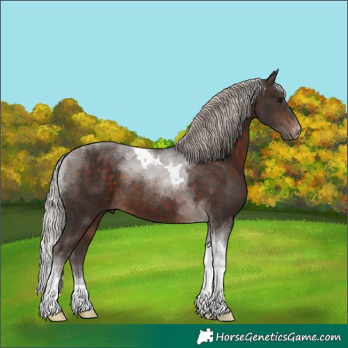 Horse Color:Silver Brown Tobiano 