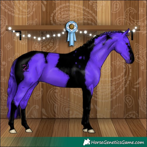 Horse Color:Void Watercolor Black Tobiano 
