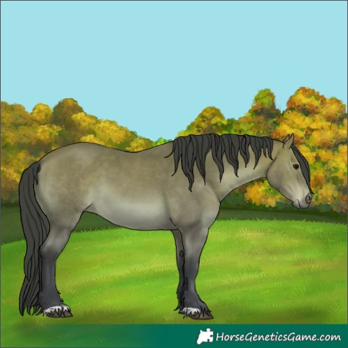 Horse Color:Platinum Bay 