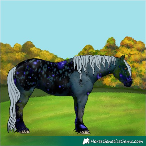 Horse Color:ERROR: UNKNOWN ANOMALY