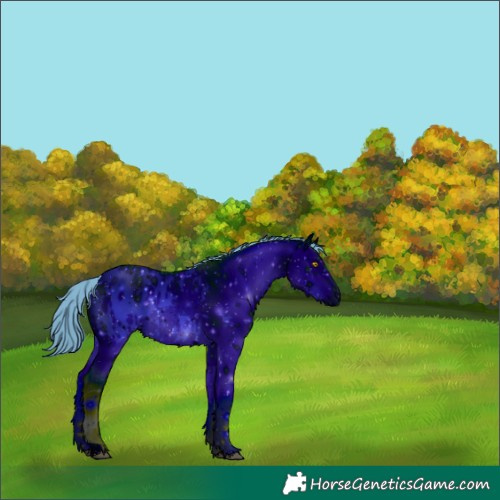 Horse Color:ERROR: UNKNOWN ANOMALY