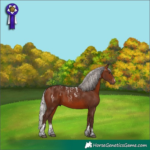 Horse Color:Powder White Silver Brown