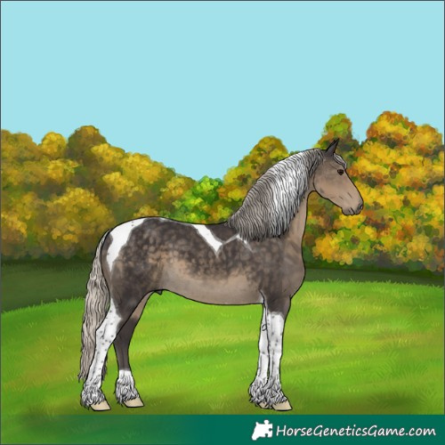 Horse Color:Silver Smoky Black Tobiano 
