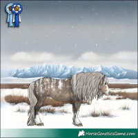 Horse Color:Powder White Silver Smoky Grullo 