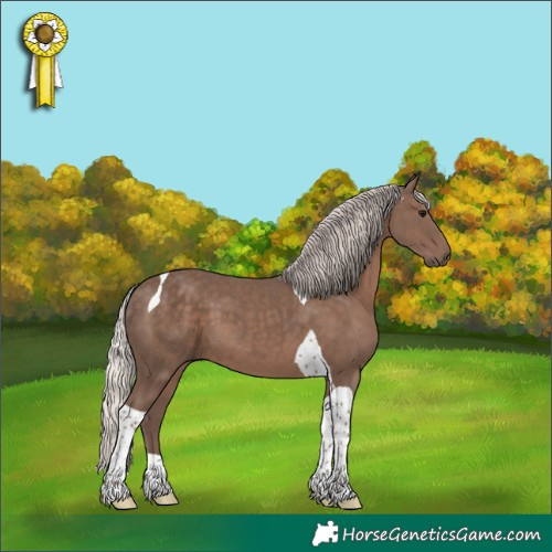 Horse Color:Silver Black Tobiano