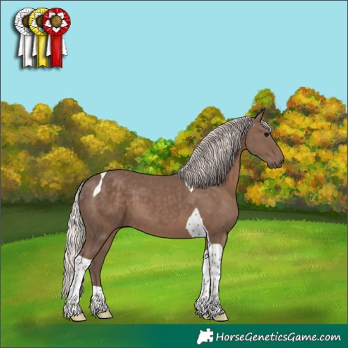 Horse Color:Silver Black Tobiano