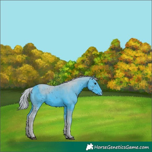 Horse Color:ERROR: UNKNOWN ANOMALY