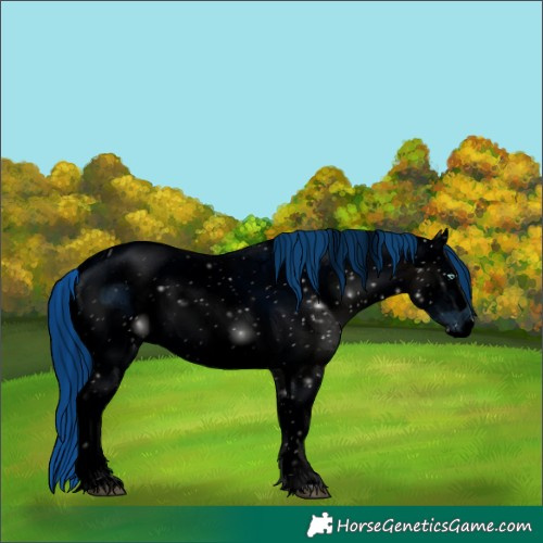 Horse Color:ERROR: UNKNOWN ANOMALY