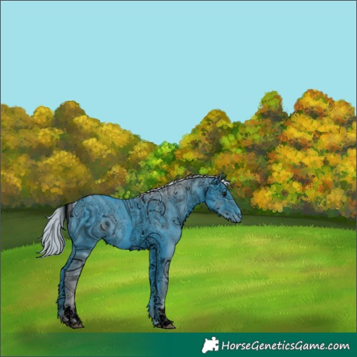 Horse Color:ERROR: UNKNOWN ANOMALY