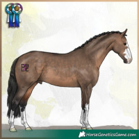 Horse Color:Brown Dun