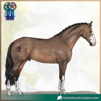 Horse Color:Brown Dun