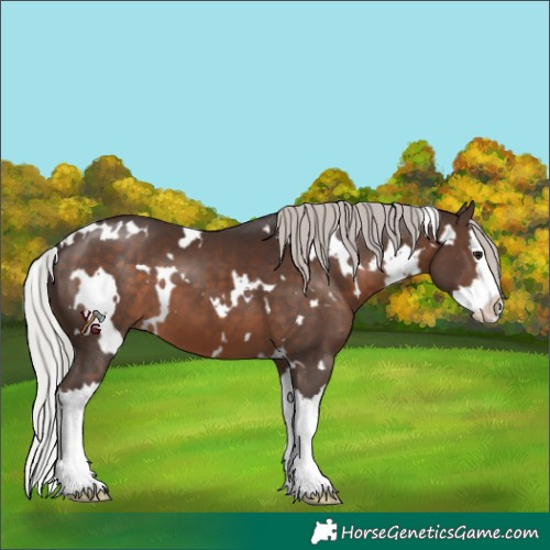 Horse Color:White Spotted Silver Brown Splash 