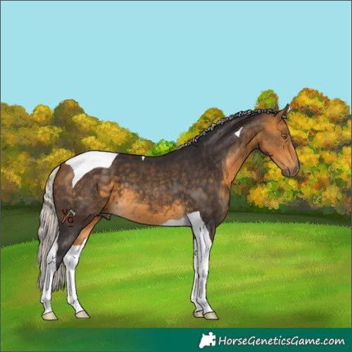 Horse Color:Silver Buckskin Tobiano 