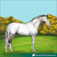 Horse Color:Gray Amber Champagne Tobiano Snowcap Rabicano