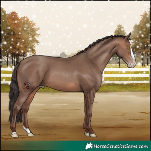 Horse Color:Sable Champagne Splash