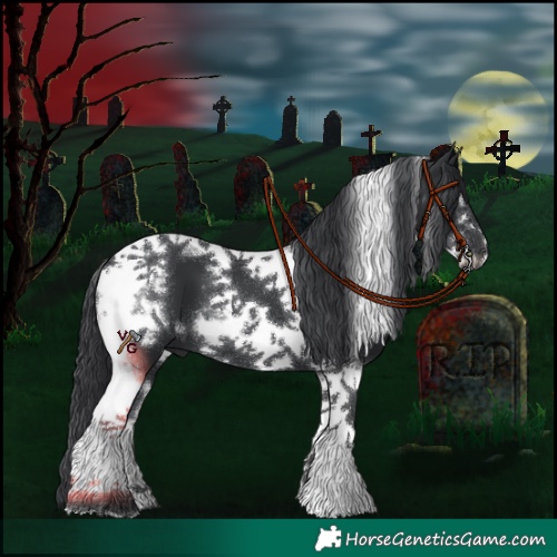 Horse Color:Black Tobiano Frame 