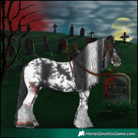 Horse Color:Black Tobiano Frame 