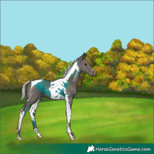 Horse Color:Silver Black Tobiano 