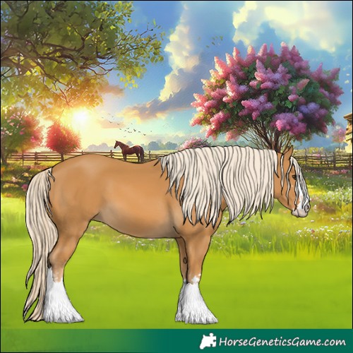 Horse Color:Palomino 