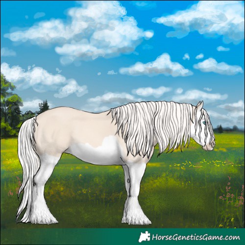 Horse Color:Cremello Splash 