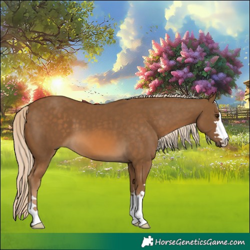 Horse Color:Chocolate Palomino 