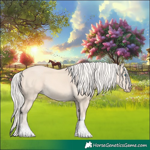 Horse Color:Cremello