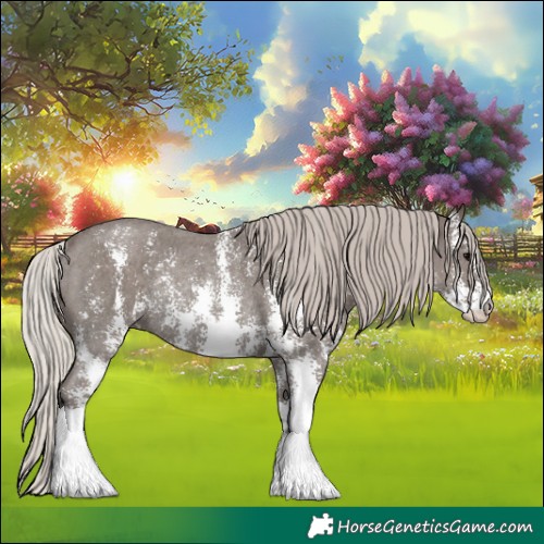 Horse Color:Silver Black Sabino Rabicano 