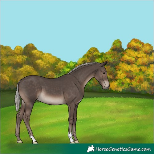 Horse Color:Silver Black 