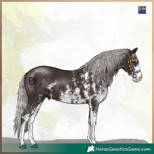 Horse Color:Silver Bay Mushroom Sabino 