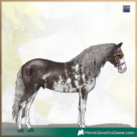 Horse Color:Silver Bay Mushroom Sabino