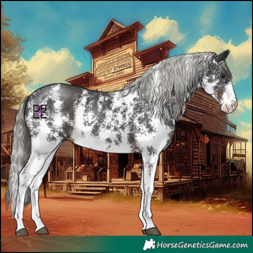 Horse Color:Liver Chestnut Mushroom Sabino