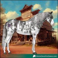 Horse Color:Liver Chestnut Mushroom Sabino 