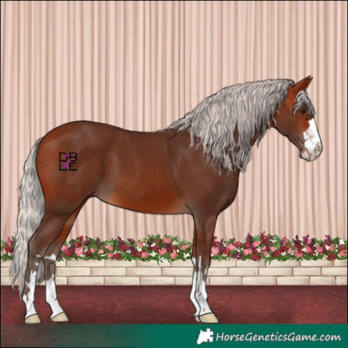 Horse Color:Silver Bay 