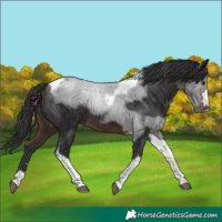 Horse Color:Brown Mushroom Tobiano
