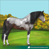 Horse Color:Brown Mushroom Tobiano 