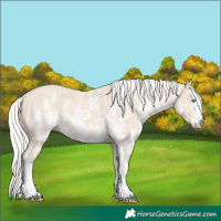Horse Color:Cremello Sabino  and Cremello Sabino 