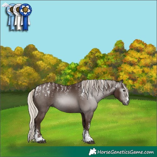 Horse Color:Powder White Gray Silver Black