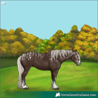 Horse Color:Powder White Gray Silver Black 