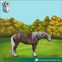 Horse Color:Powder White Gray Silver Black