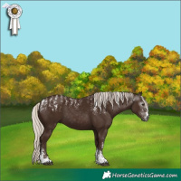 Horse Color:Powder White Gray Silver Black