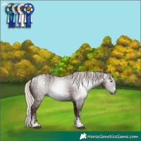 Horse Color:Powder White Gray Silver Black 